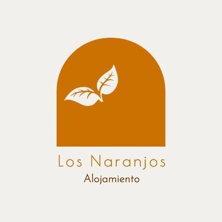 Alojamiento Los Naranjos Piscina Y Parking Gratuito Jaen Exterior photo